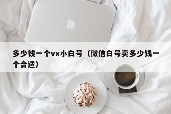 多少钱一个vx小白号（微信白号卖多少钱一个合适）