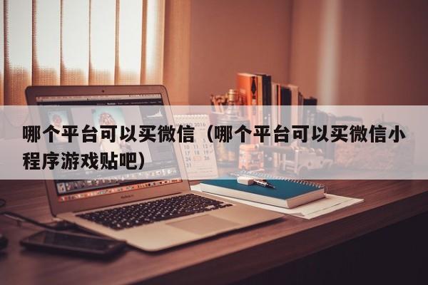 哪个平台可以买微信（哪个平台可以买微信小程序游戏贴吧）