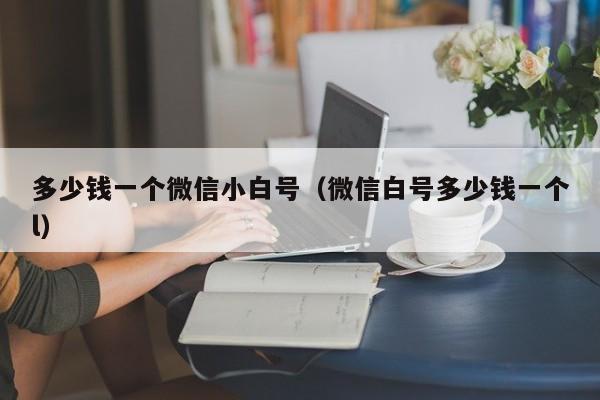 多少钱一个微信小白号（微信白号多少钱一个l）