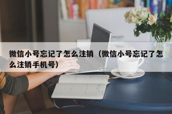 微信小号忘记了怎么注销（微信小号忘记了怎么注销手机号）