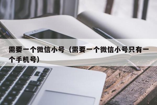 需要一个微信小号（需要一个微信小号只有一个手机号）