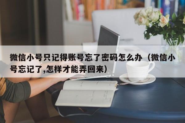 微信小号只记得账号忘了密码怎么办（微信小号忘记了,怎样才能弄回来）