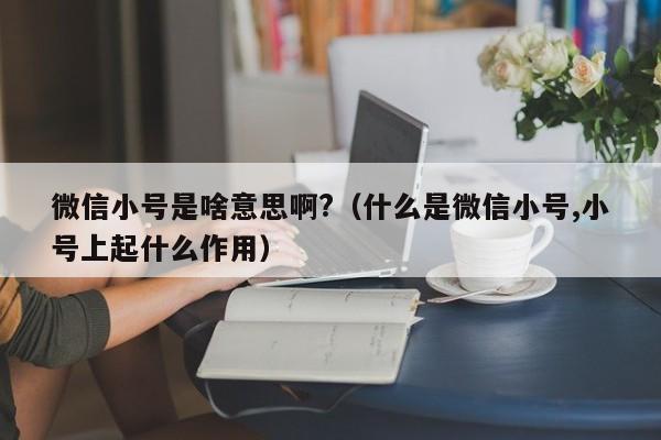 微信小号是啥意思啊?（什么是微信小号,小号上起什么作用）