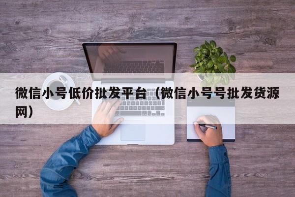 微信小号低价批发平台（微信小号号批发货源网）