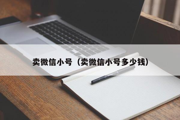 卖微信小号（卖微信小号多少钱）