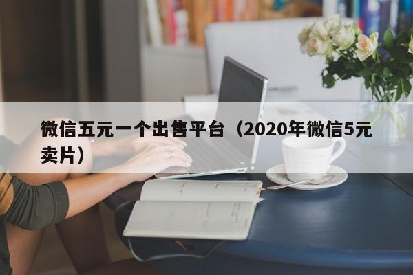 微信五元一个出售平台（2020年微信5元卖片）