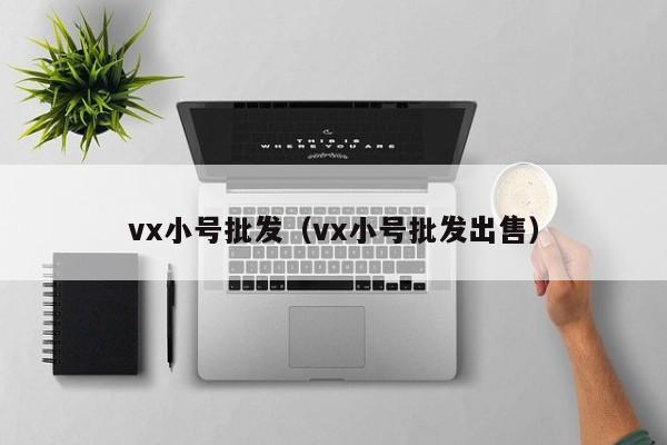 vx小号批发（vx小号批发出售）