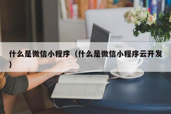 什么是微信小程序（什么是微信小程序云开发）