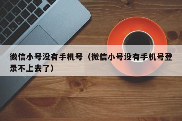 微信小号没有手机号（微信小号没有手机号登录不上去了）