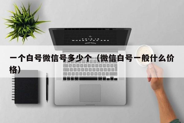 一个白号微信号多少个（微信白号一般什么价格）
