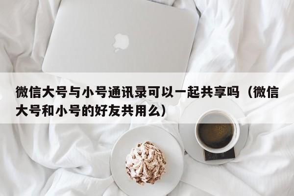 微信大号与小号通讯录可以一起共享吗（微信大号和小号的好友共用么）