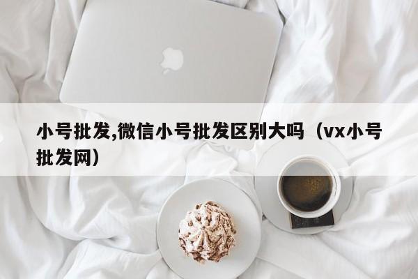 小号批发,微信小号批发区别大吗（vx小号批发网）