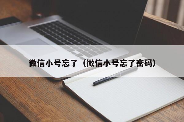 微信小号忘了（微信小号忘了密码）