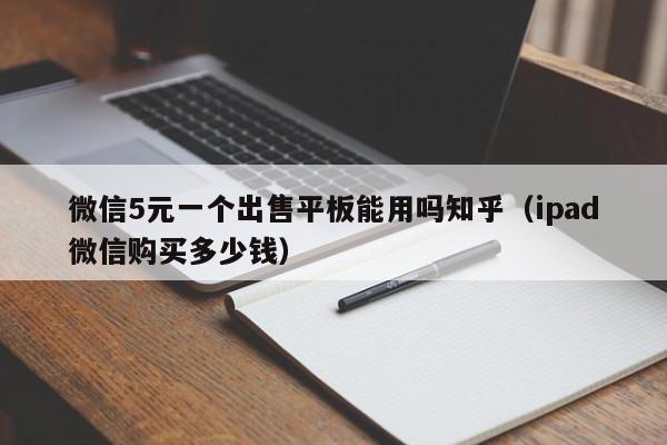 微信5元一个出售平板能用吗知乎（ipad微信购买多少钱）