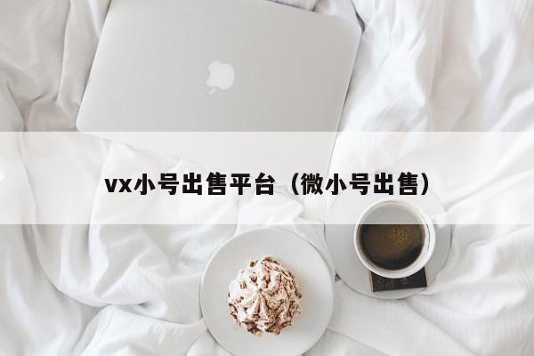 vx小号出售平台（微小号出售）