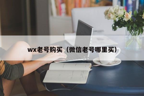 wx老号购买（微信老号哪里买）