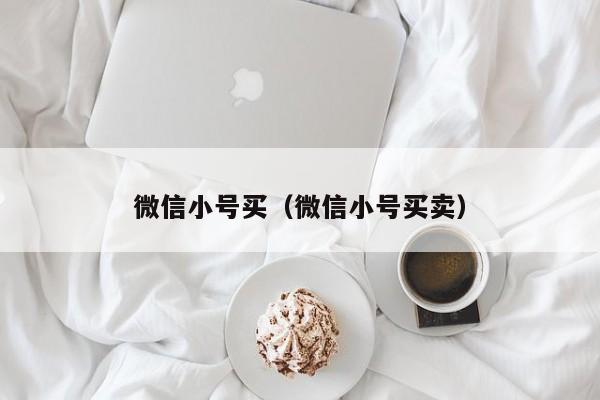 微信小号买（微信小号买卖）