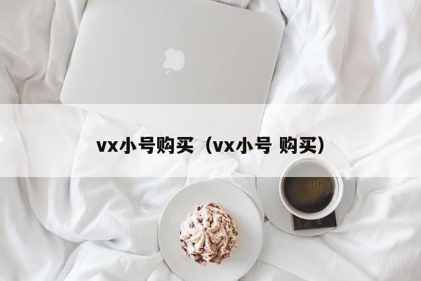 vx小号购买（vx小号 购买）