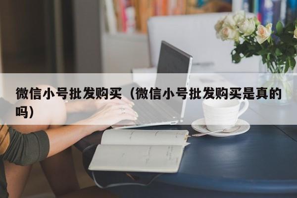 微信小号批发购买（微信小号批发购买是真的吗）