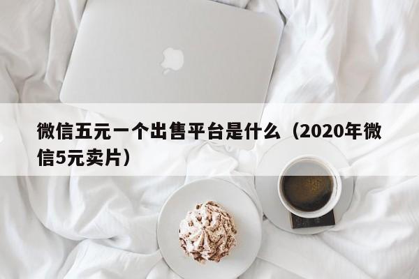 微信五元一个出售平台是什么（2020年微信5元卖片）