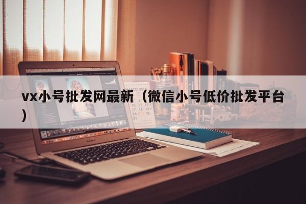 vx小号批发网最新（微信小号低价批发平台）