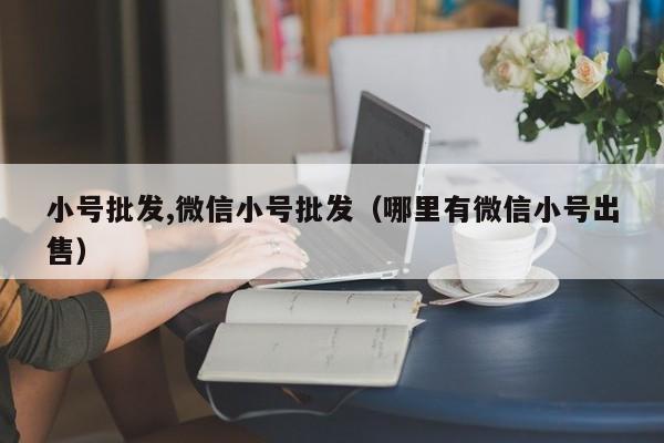 小号批发,微信小号批发（哪里有微信小号出售）