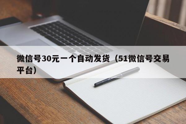 微信号30元一个自动发货（51微信号交易平台）