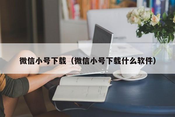 微信小号下载（微信小号下载什么软件）