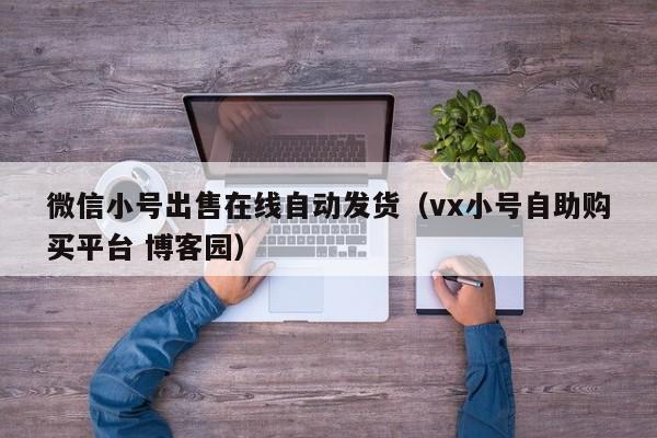 微信小号出售在线自动发货（vx小号自助购买平台 博客园）