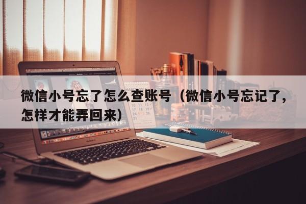 微信小号忘了怎么查账号（微信小号忘记了,怎样才能弄回来）