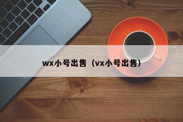 wx小号出售（vx小号出售）