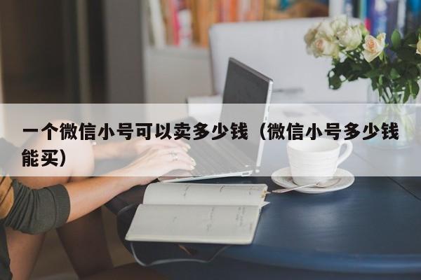 一个微信小号可以卖多少钱（微信小号多少钱能买）