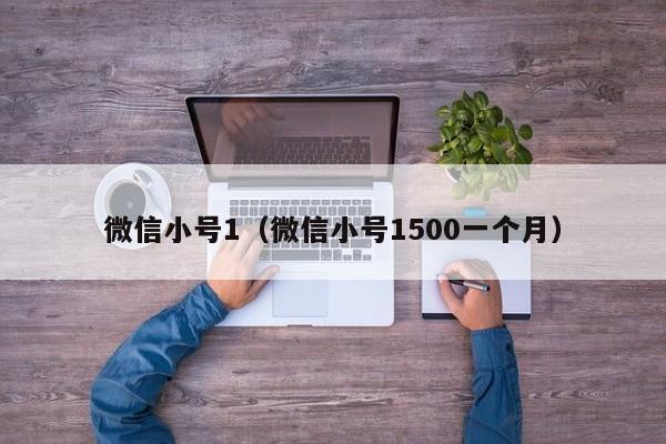 微信小号1（微信小号1500一个月）