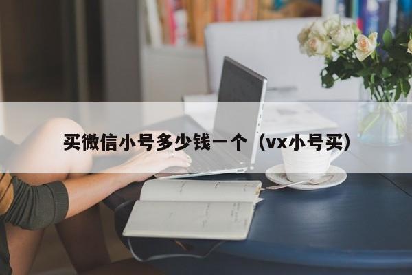 买微信小号多少钱一个（vx小号买）