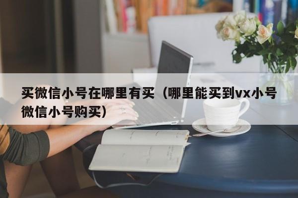 买微信小号在哪里有买（哪里能买到vx小号微信小号购买）