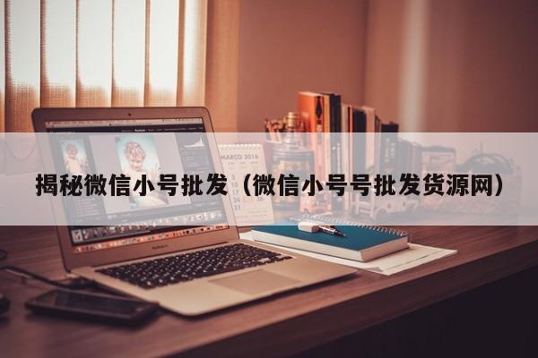 揭秘微信小号批发（微信小号号批发货源网）