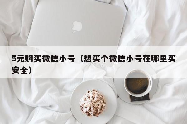 5元购买微信小号（想买个微信小号在哪里买安全）