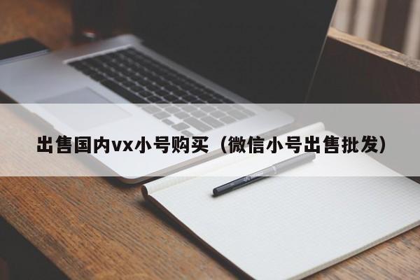出售国内vx小号购买（微信小号出售批发）