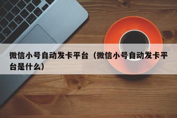 微信小号自动发卡平台（微信小号自动发卡平台是什么）