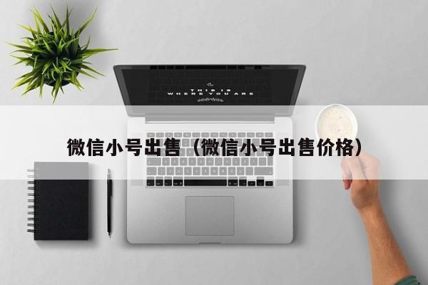 微信小号出售（微信小号出售价格）