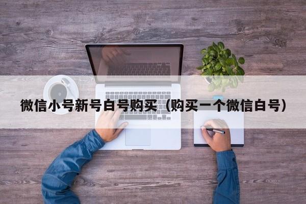 微信小号新号白号购买（购买一个微信白号）