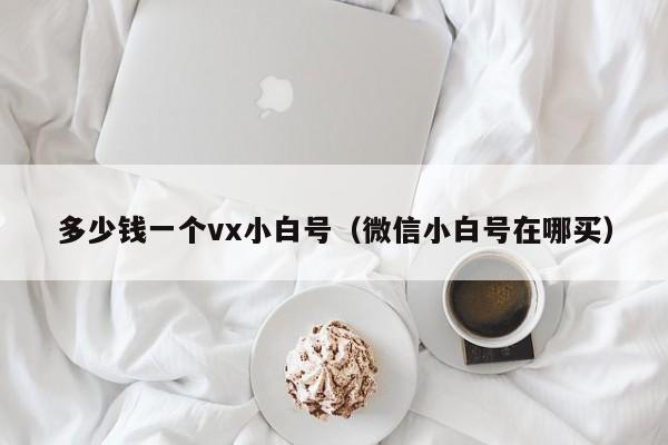 多少钱一个vx小白号（微信小白号在哪买）