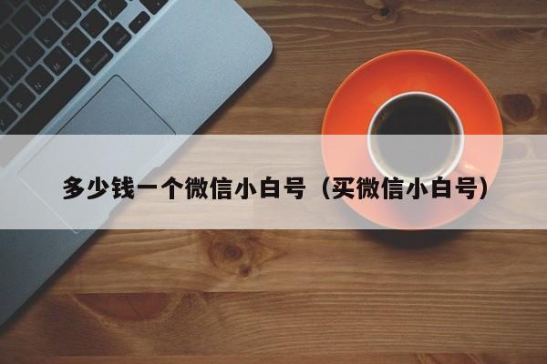 多少钱一个微信小白号（买微信小白号）