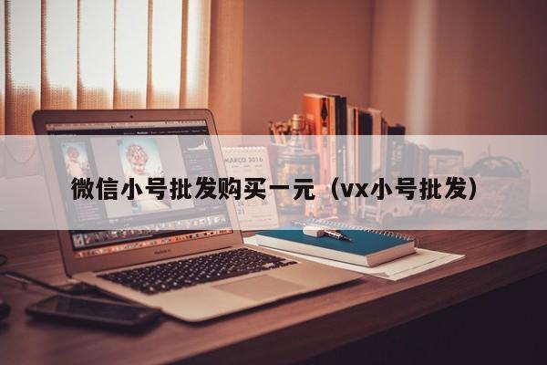 微信小号批发购买一元（vx小号批发）