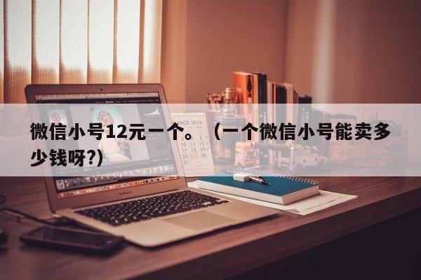 微信小号12元一个。（一个微信小号能卖多少钱呀?）