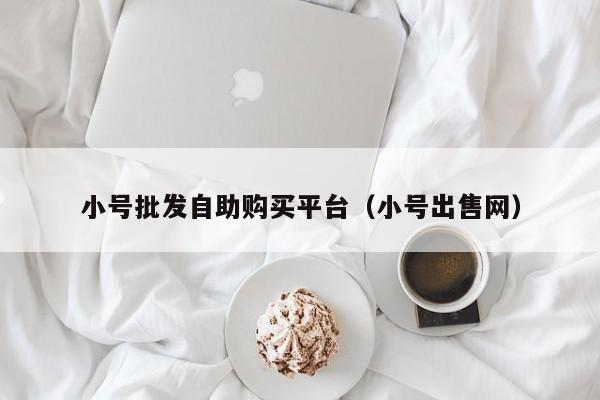 小号批发自助购买平台（小号出售网）