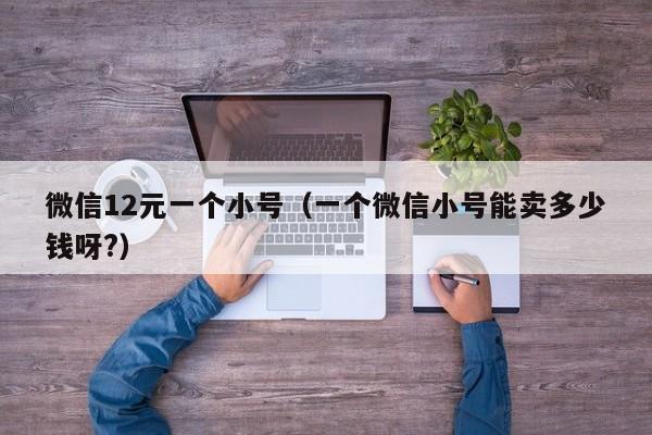 微信12元一个小号（一个微信小号能卖多少钱呀?）