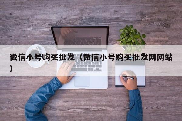 微信小号购买批发（微信小号购买批发网网站）
