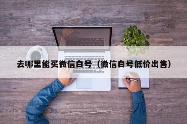 去哪里能买微信白号（微信白号低价出售）