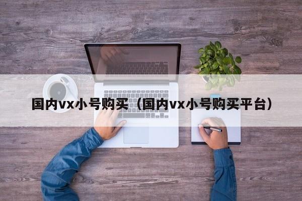 国内vx小号购买（国内vx小号购买平台）